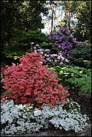 DSC_0518.JPG
