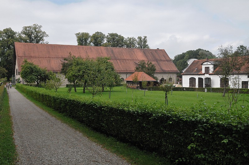 DSC_6613.JPG
