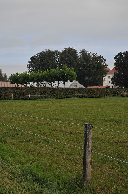DSC_6643.JPG