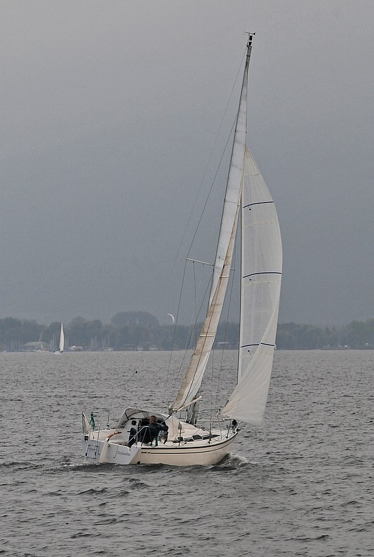 DSC_7229CE.jpg