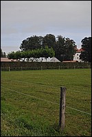 DSC_6643.JPG