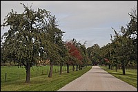 DSC_6649.JPG