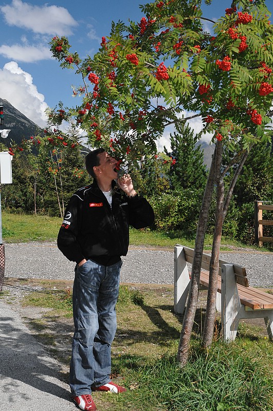 DSC_7797.JPG