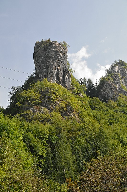 DSC_7886.JPG