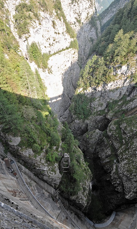 DSC_7952DE.jpg