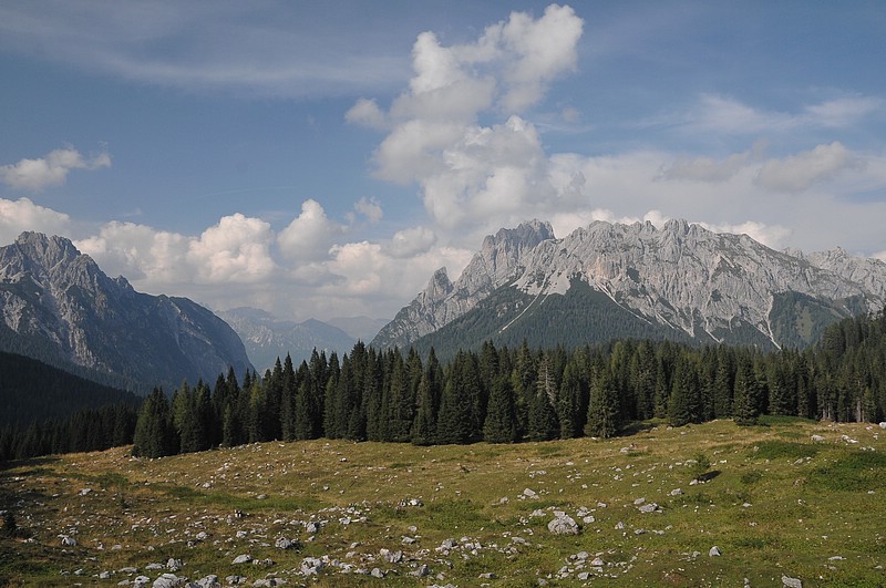 DSC_7958.JPG