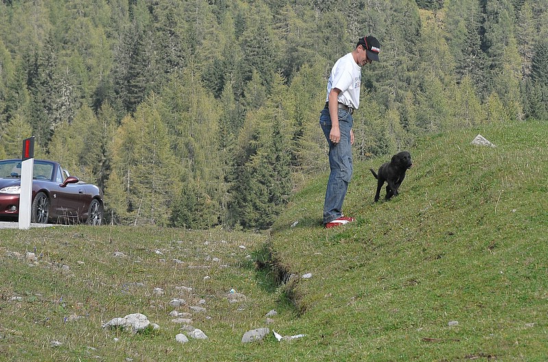 DSC_7960C.jpg