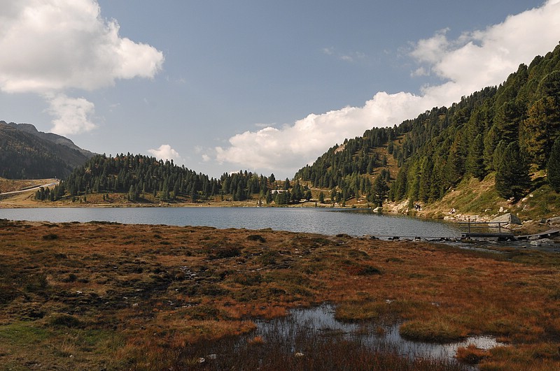 DSC_8012.JPG