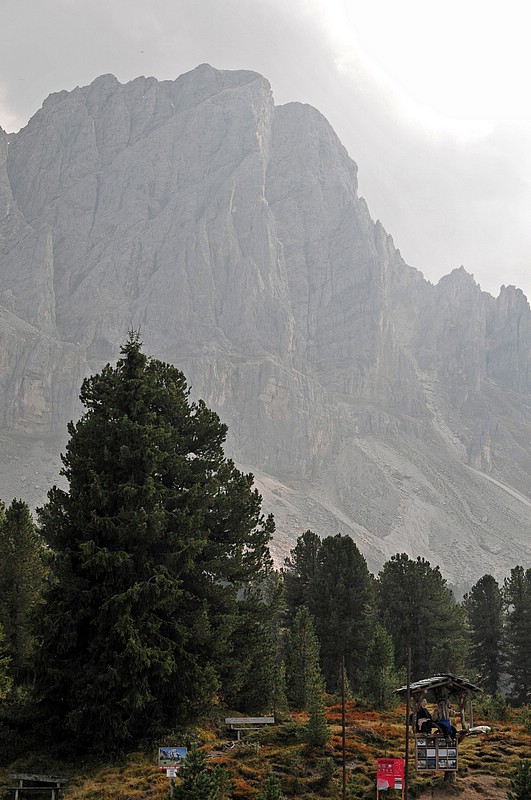 DSC_8036E.jpg