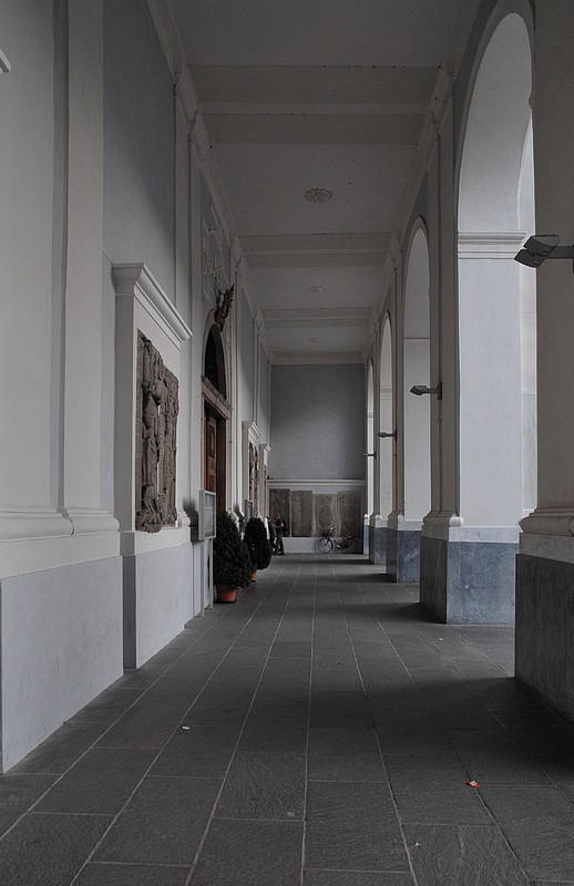 DSC_8084Sh.jpg