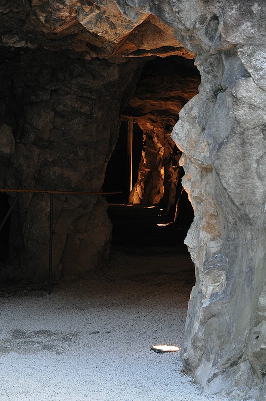 DSC_8283.JPG