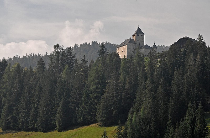 DSC_8298E.jpg