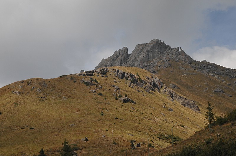 DSC_8417.JPG