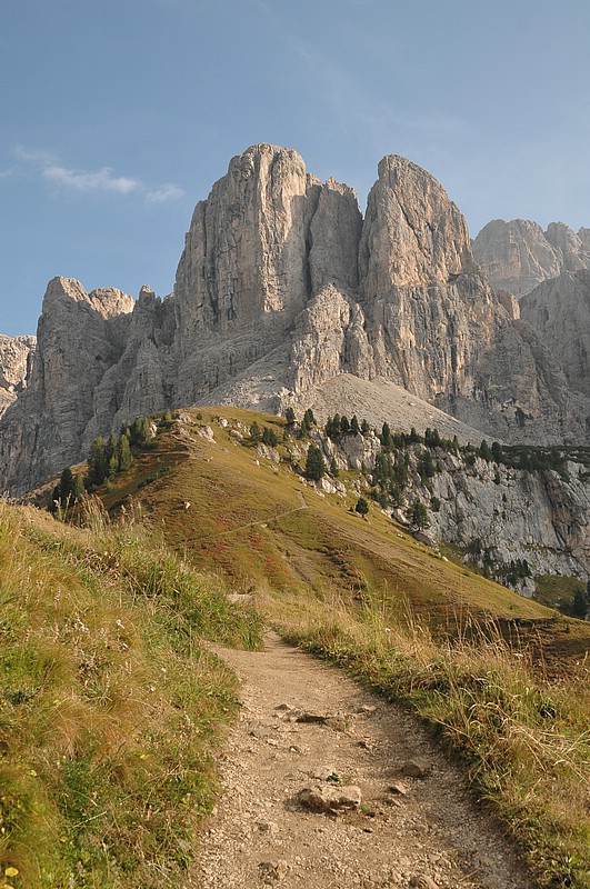 DSC_8479.JPG