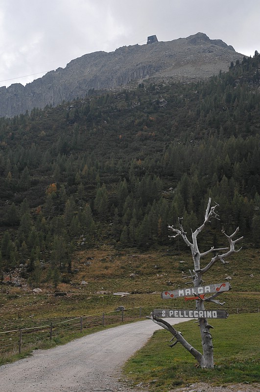 DSC_8525.JPG