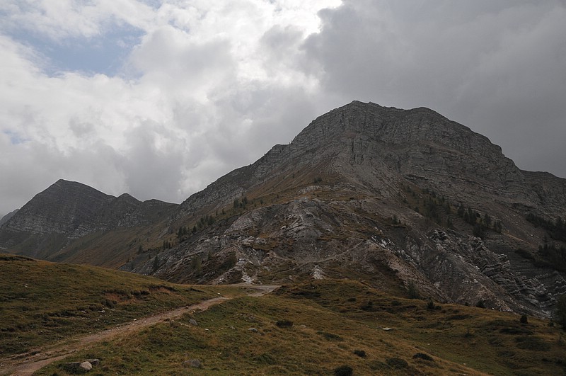 DSC_8536.JPG