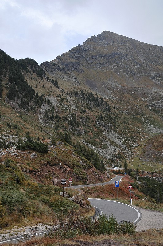 DSC_8605.JPG
