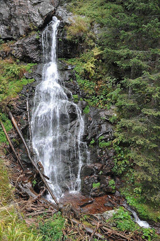 DSC_8617.JPG