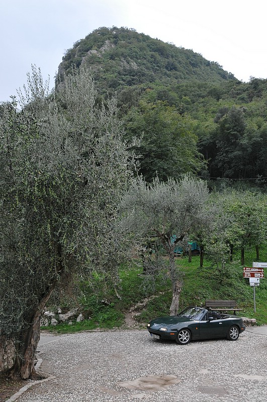 DSC_8636.JPG