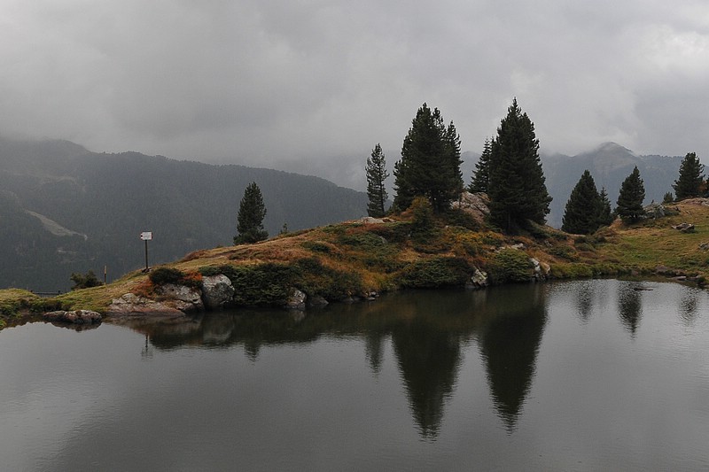 DSC_8649.JPG
