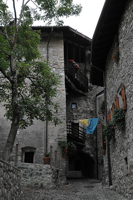 DSC_8677.JPG