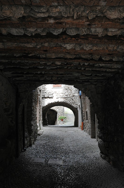 DSC_8684.JPG