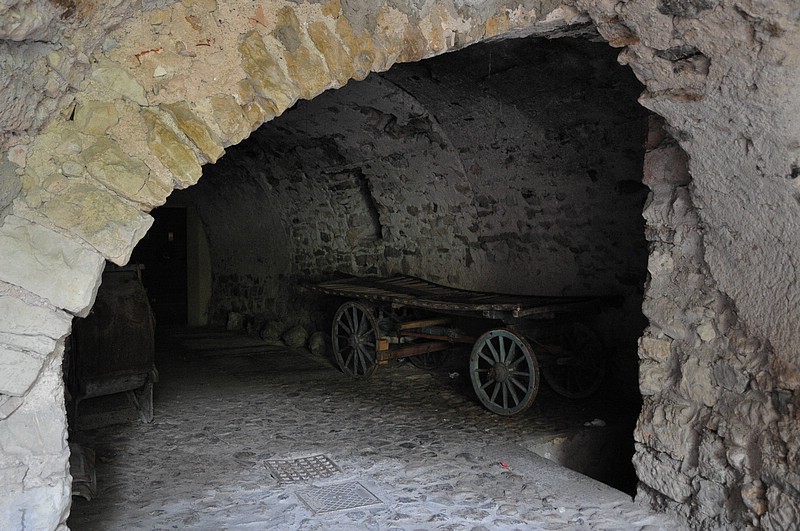 DSC_8710.JPG