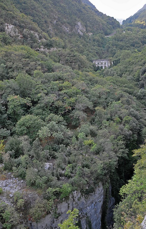 DSC_8838E.jpg