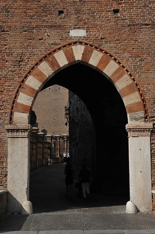 DSC_8910.JPG