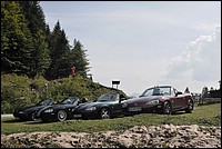 DSC_7919.JPG