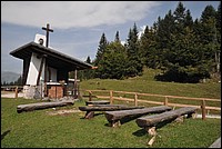 DSC_7921.JPG