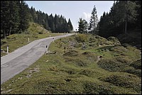 DSC_7928.JPG