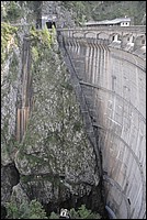 DSC_7935.JPG