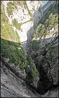 DSC_7952DE.jpg