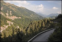 DSC_7954.JPG