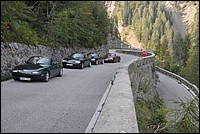DSC_7956.JPG