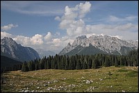 DSC_7958.JPG