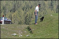 DSC_7960C.jpg