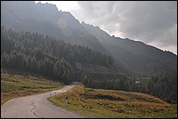 DSC_7962.JPG