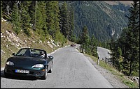 DSC_8009E.jpg