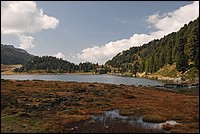 DSC_8012.JPG