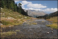 DSC_8016.JPG