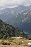 DSC_8021.JPG