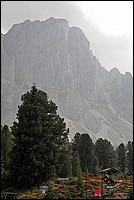DSC_8036E.jpg