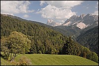 DSC_8037.JPG