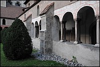 DSC_8061.JPG