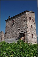 DSC_8145D.jpg