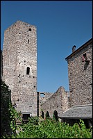 DSC_8146E.jpg