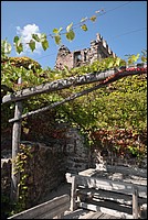 DSC_8158.JPG