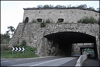 DSC_8270.JPG